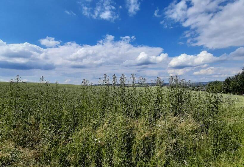 Отель Miriquidi