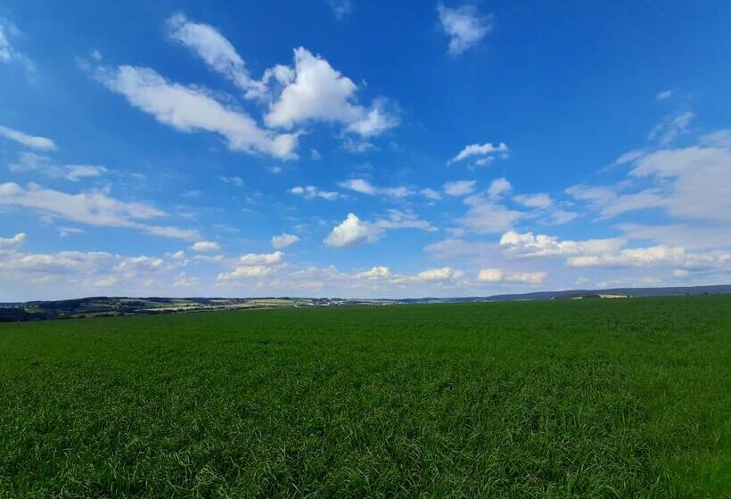 Отель Miriquidi