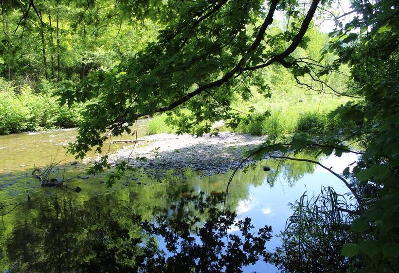 Отель Miriquidi