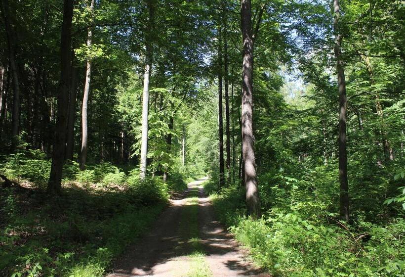 Отель Miriquidi