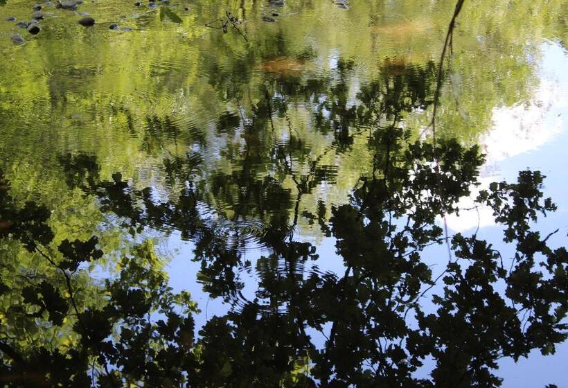 Отель Miriquidi