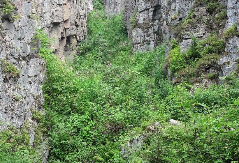 Отель Miriquidi