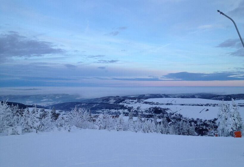 Отель Miriquidi