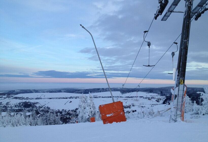 Отель Miriquidi