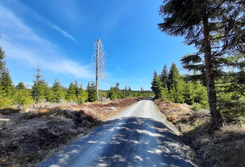 Отель Miriquidi