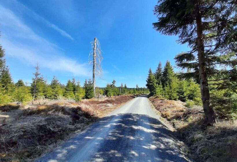 Отель Miriquidi