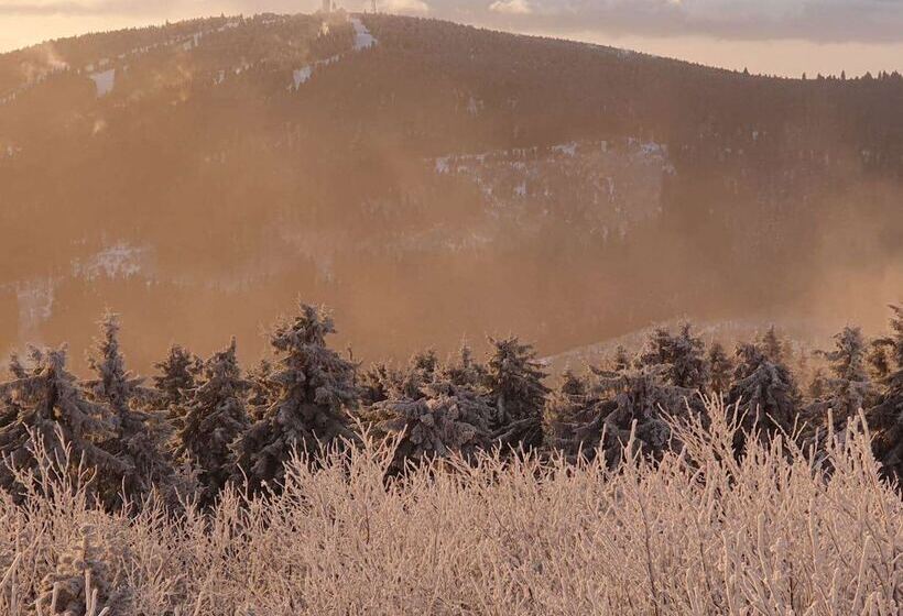 Отель Miriquidi