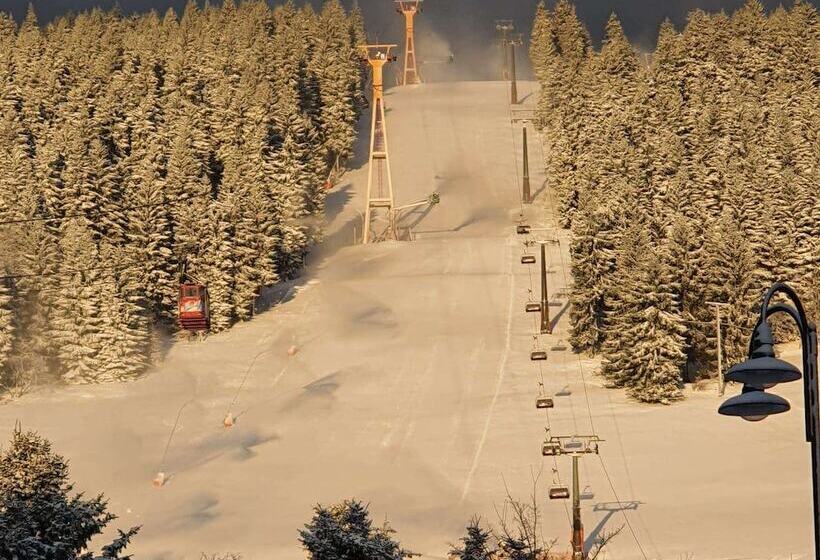 Отель Miriquidi