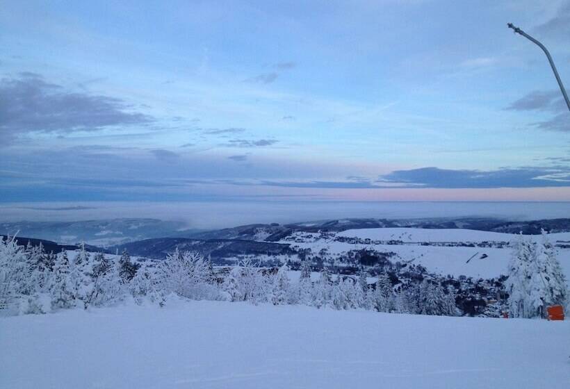 Отель Miriquidi