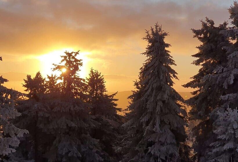 Отель Miriquidi