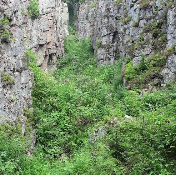 Отель Miriquidi