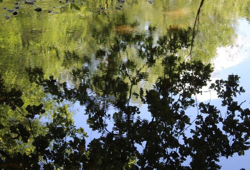 Отель Miriquidi