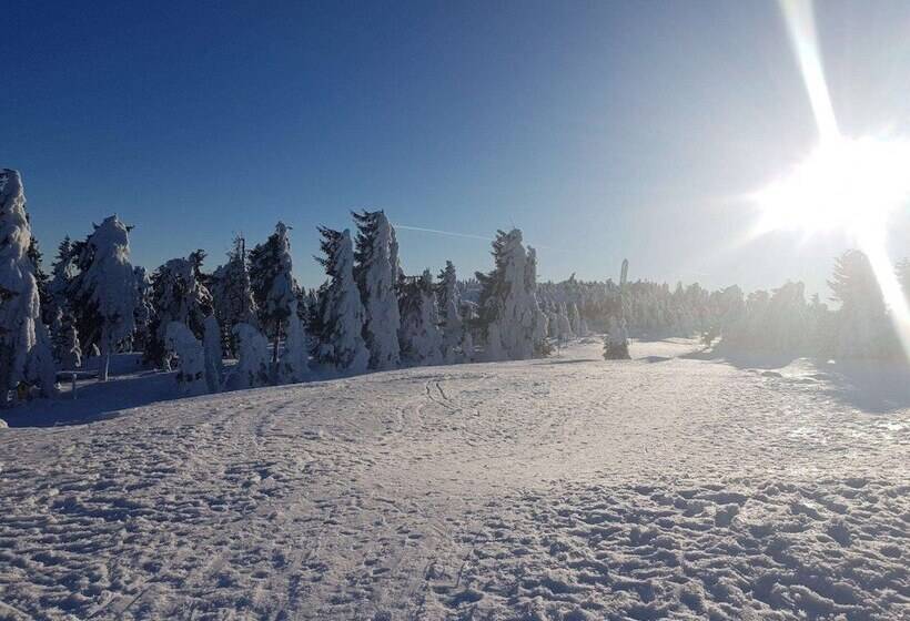 Отель Miriquidi