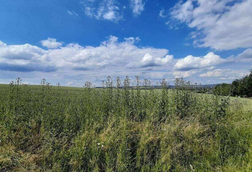 Отель Miriquidi