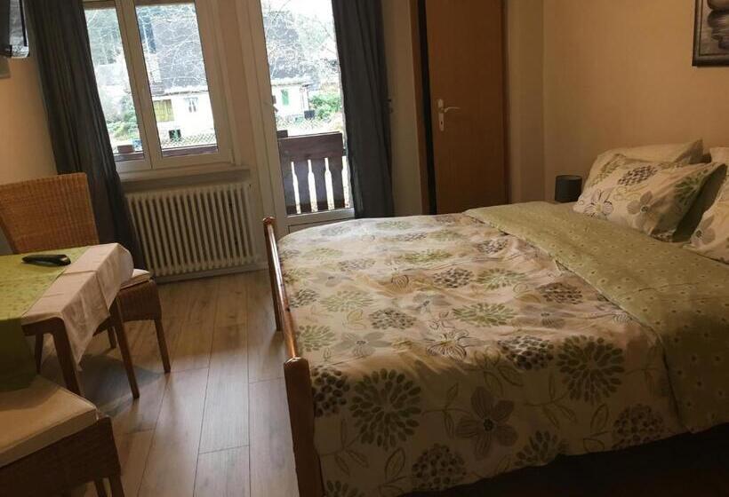 Otel Pension Bergseeblick