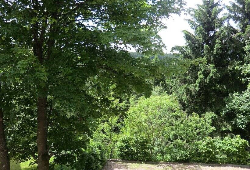 בית מלון כפרי Pension & Ferienwohnung Oberhof 810 M