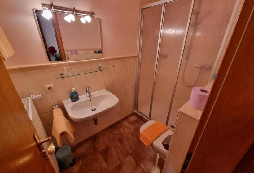 호텔 Pension Geiger