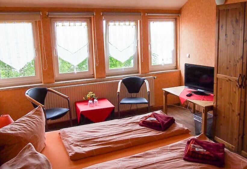 Отель Pension Haus Saarland