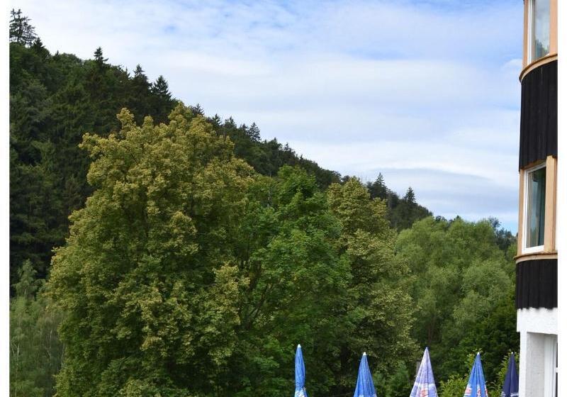 ホテル Pension & Restaurant   Zum Harzer Jodlermeister