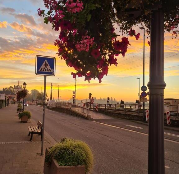 ホテル Rüdesheimer Hof   Superior