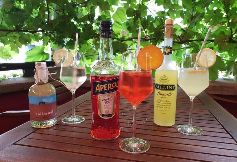 ホテル Rüdesheimer Hof   Superior