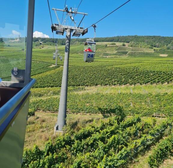 ホテル Rüdesheimer Hof   Superior