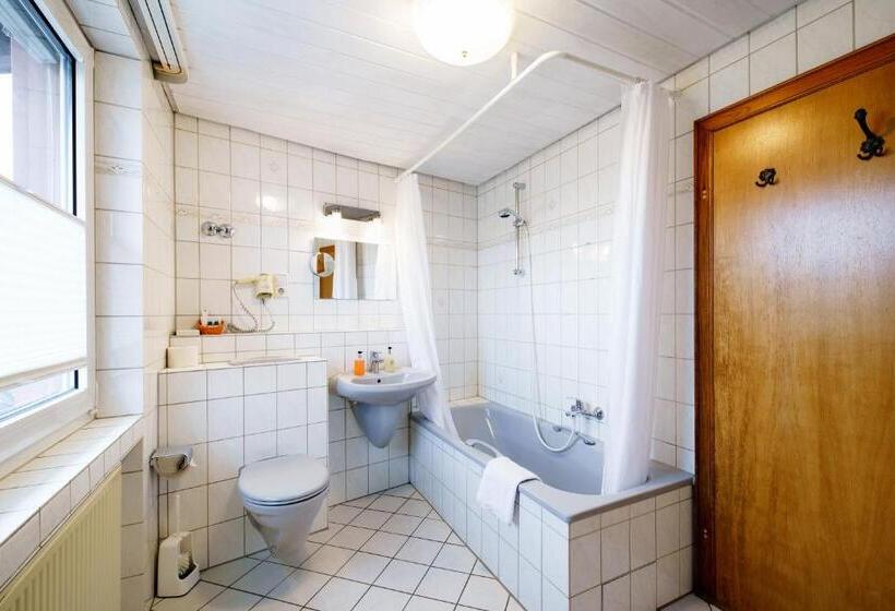 ホテル Rüdesheimer Hof   Superior