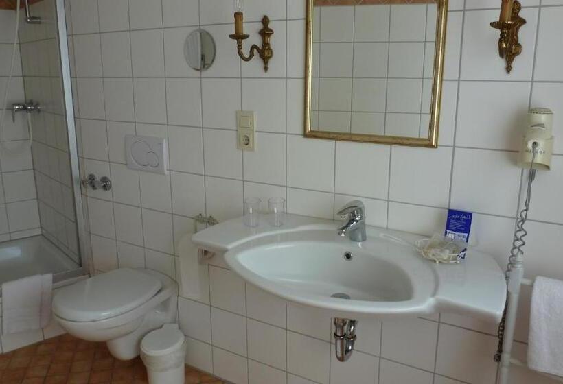 ホテル Rüdesheimer Hof   Superior