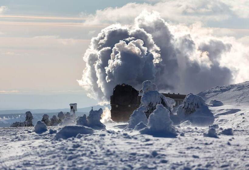 Regiohotel Pfälzer Hof Wernigerode