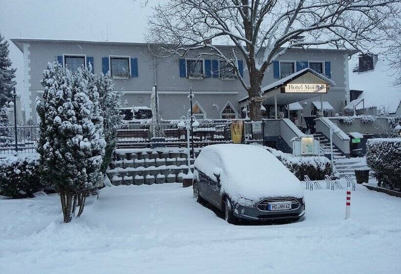 호텔 Restaurant Molitor