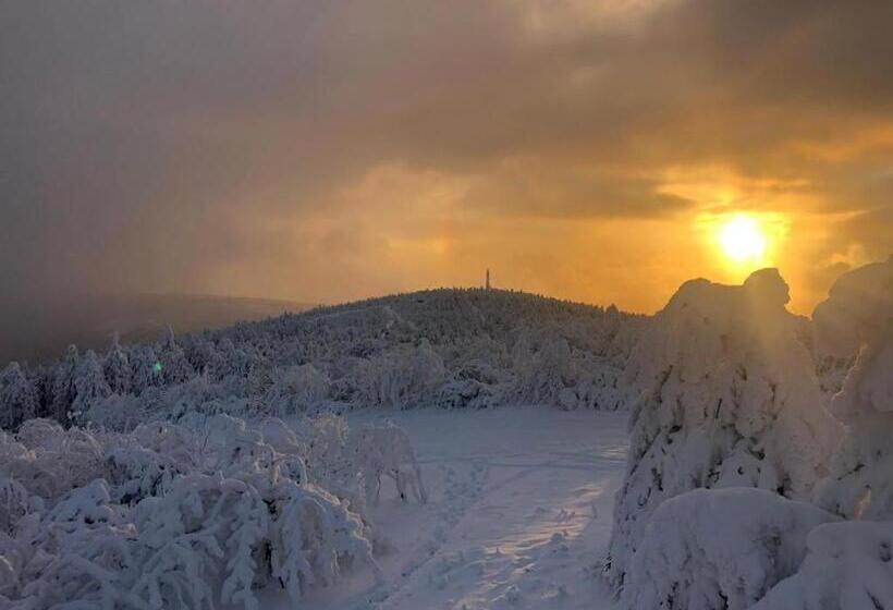 酒店 Rotgiesserhaus