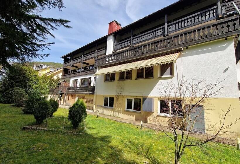 ホテル Schwanen Resort