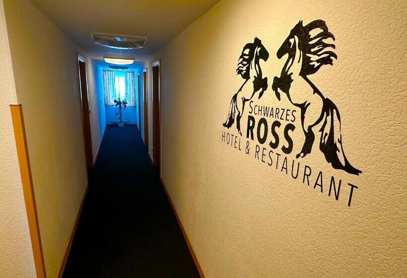 Schwarzes Ross Hotel & Restaurant Oberwiesenthal