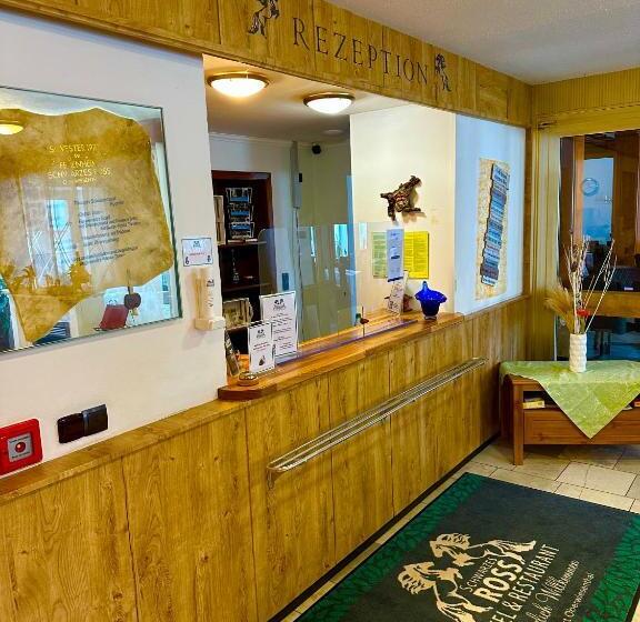 Schwarzes Ross Hotel & Restaurant Oberwiesenthal