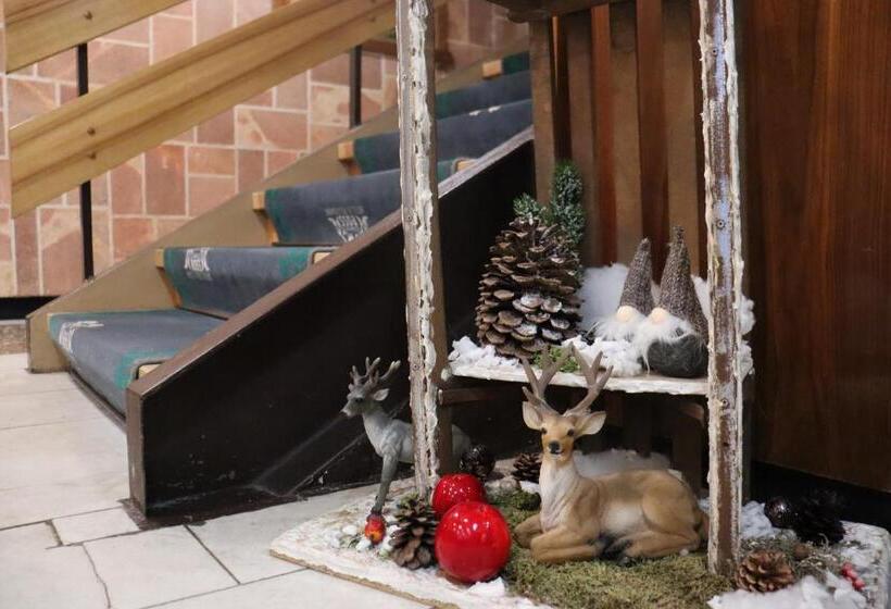 Schwarzes Ross Hotel & Restaurant Oberwiesenthal