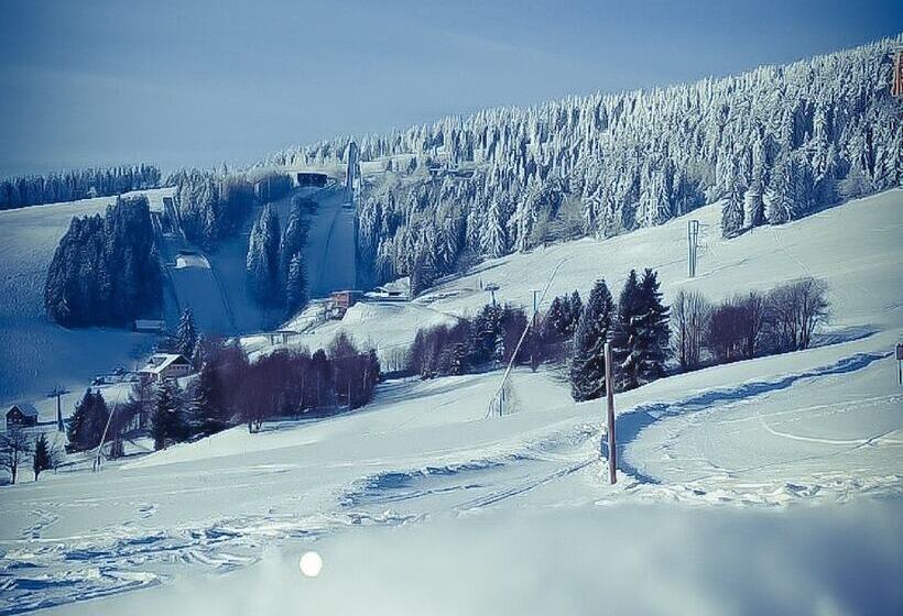 Schwarzes Ross Hotel & Restaurant Oberwiesenthal