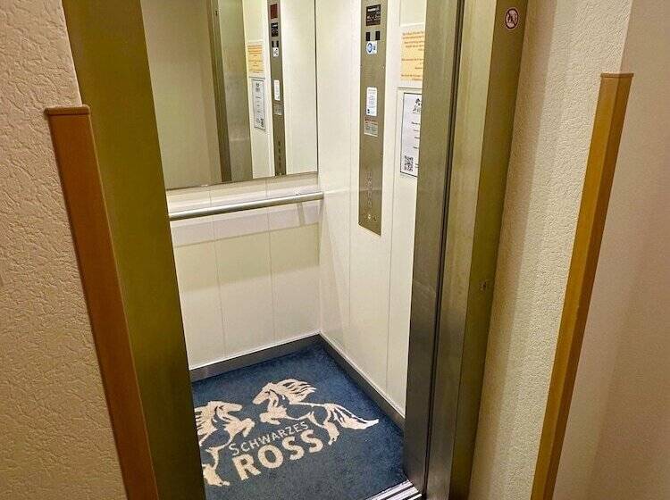 Schwarzes Ross Hotel & Restaurant Oberwiesenthal