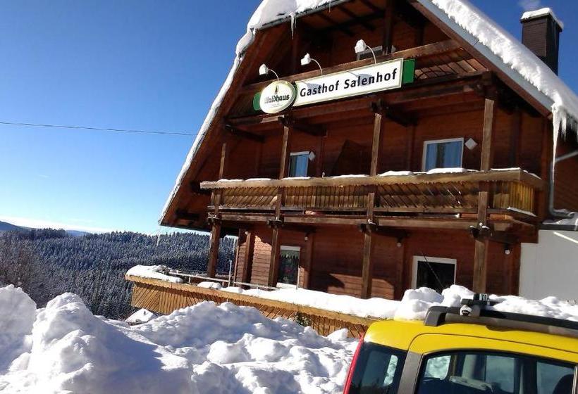 Отель Schwarzwaldgasthaus Salenhof
