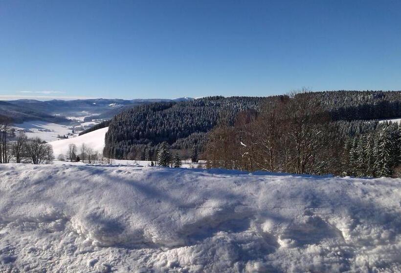 Отель Schwarzwaldgasthaus Salenhof