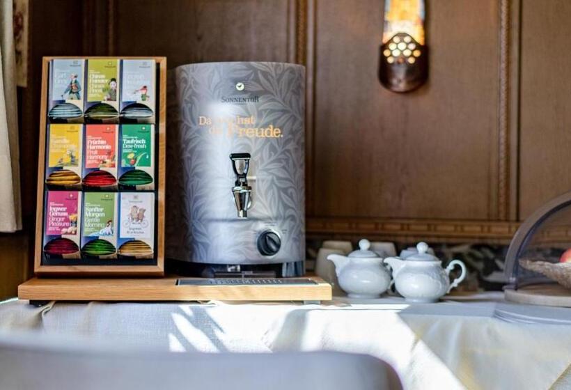 فندق Steffl Garni