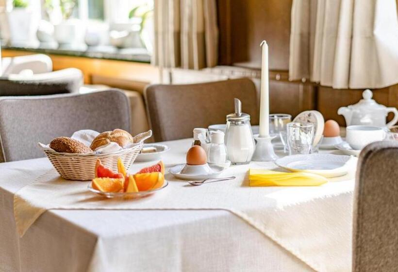 فندق Steffl Garni