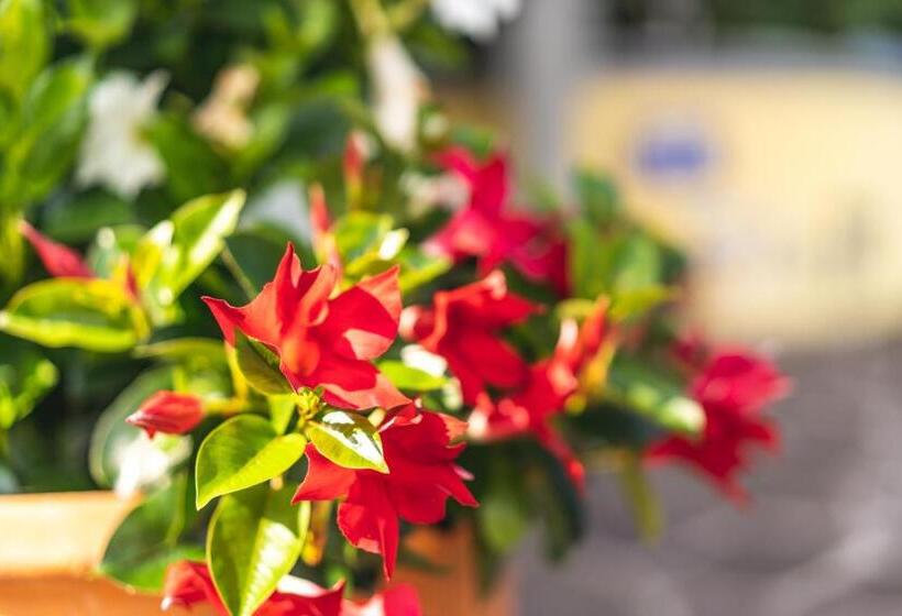 فندق Steffl Garni