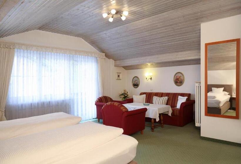 فندق Steffl Garni