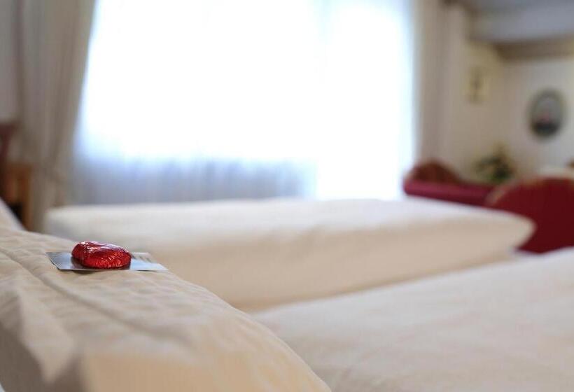 فندق Steffl Garni