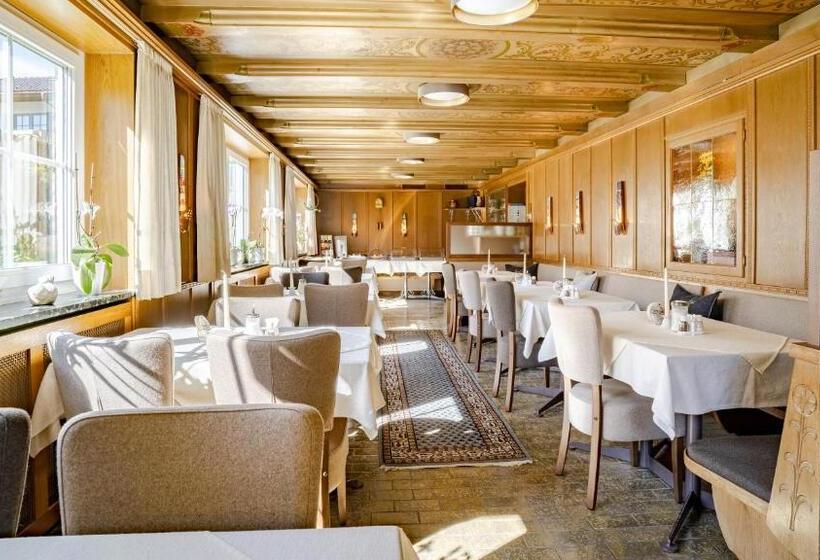 فندق Steffl Garni