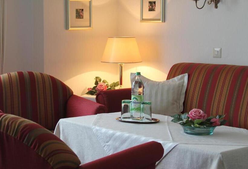 فندق Steffl Garni