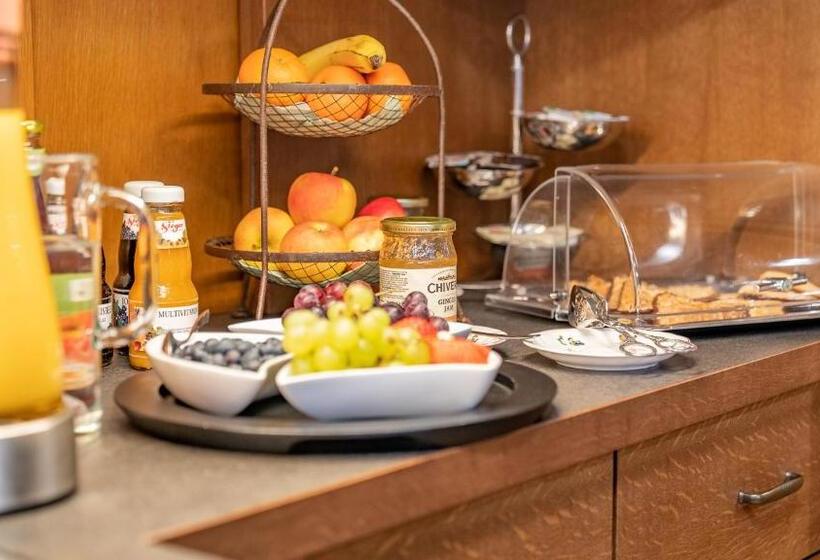 فندق Steffl Garni