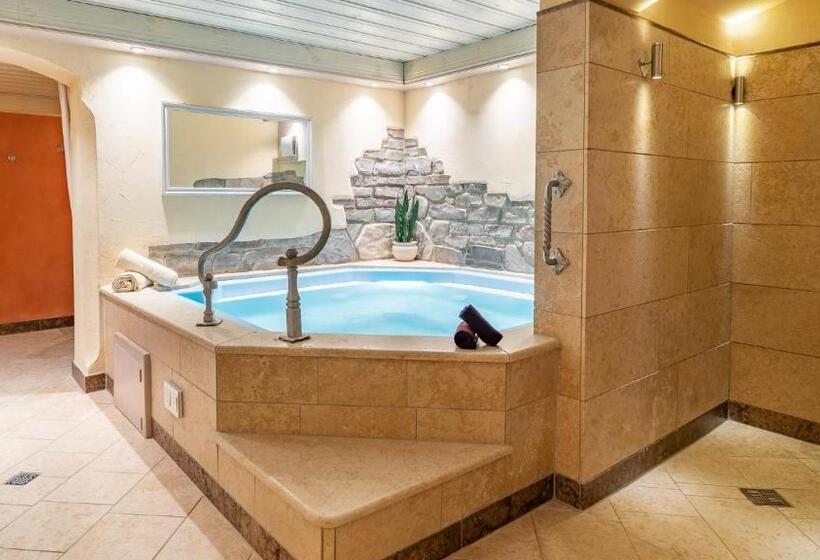 فندق Steffl Garni