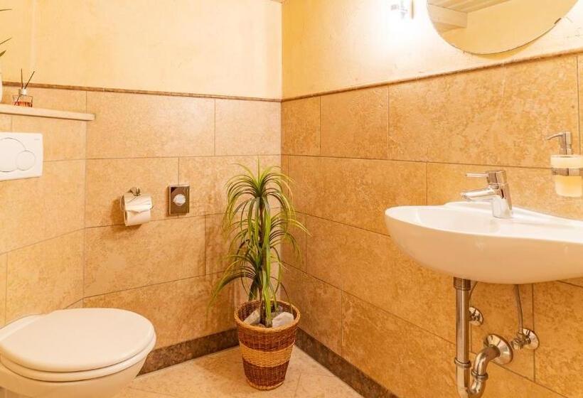 فندق Steffl Garni