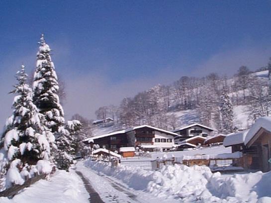 酒店 Und Ferienhäuser Reiterf